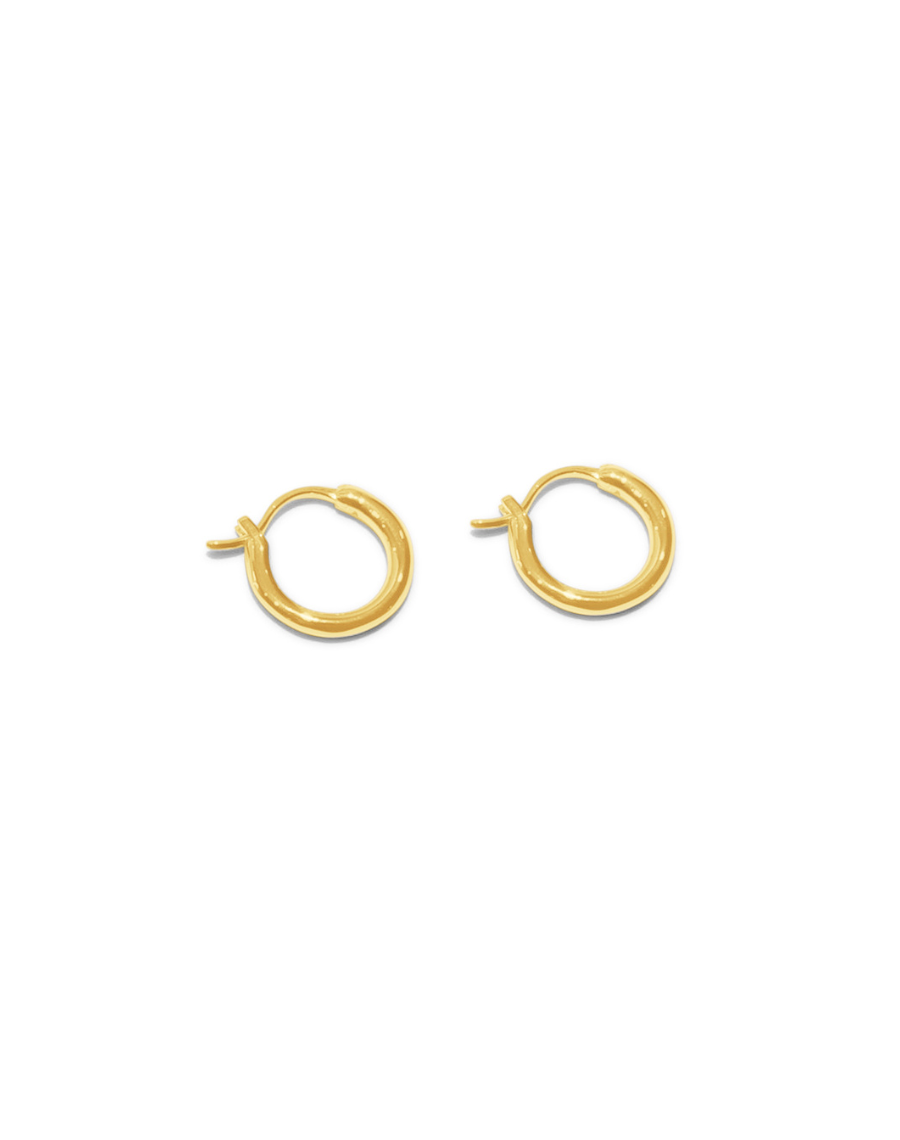 Small Hoop Earrings in Gold