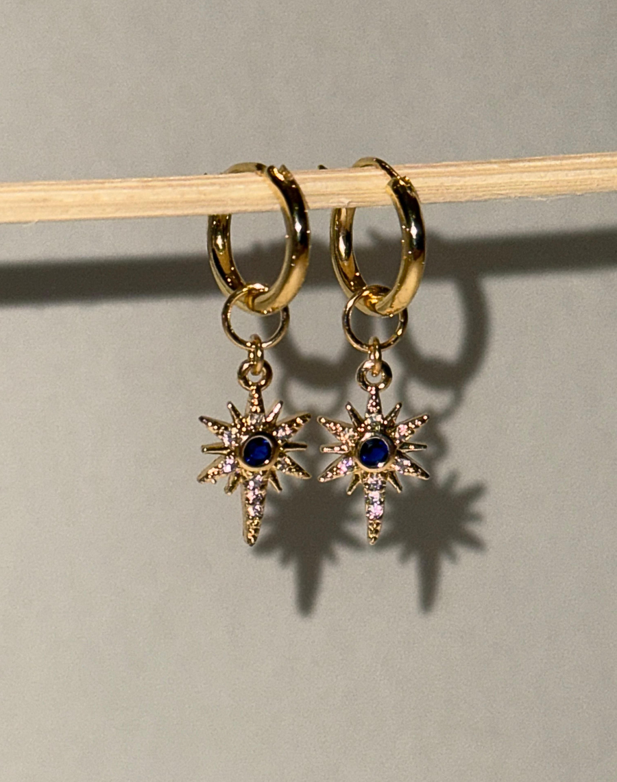 Small Hoop Earrings in Gold